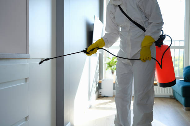 Best Black Mold Remediation in Barbourville, KY