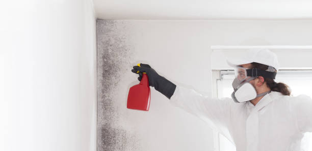 Best Mold Remediation for Specific Building Types in Barbourville, KY