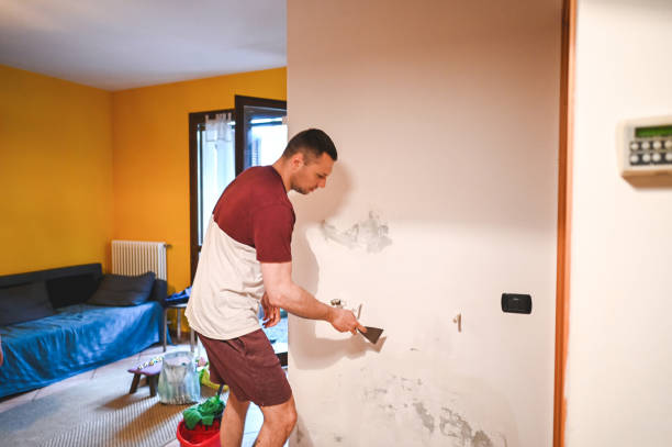 Best Mold Remediation for Schools in Barbourville, KY